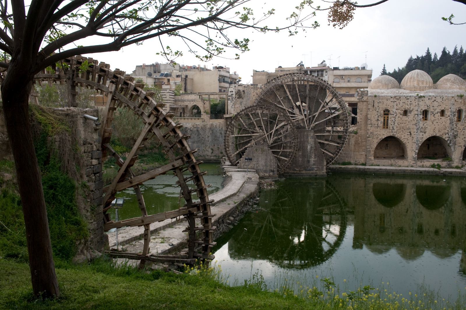 Hama
